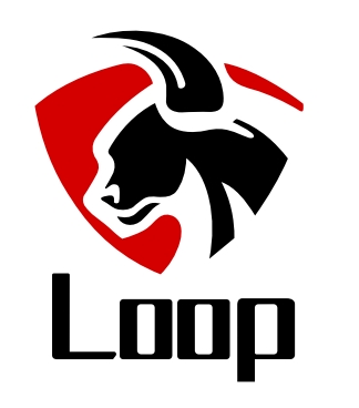 Shenzhen Loop Circle Technology Co., Ltd(We are general trading company for all building materials)